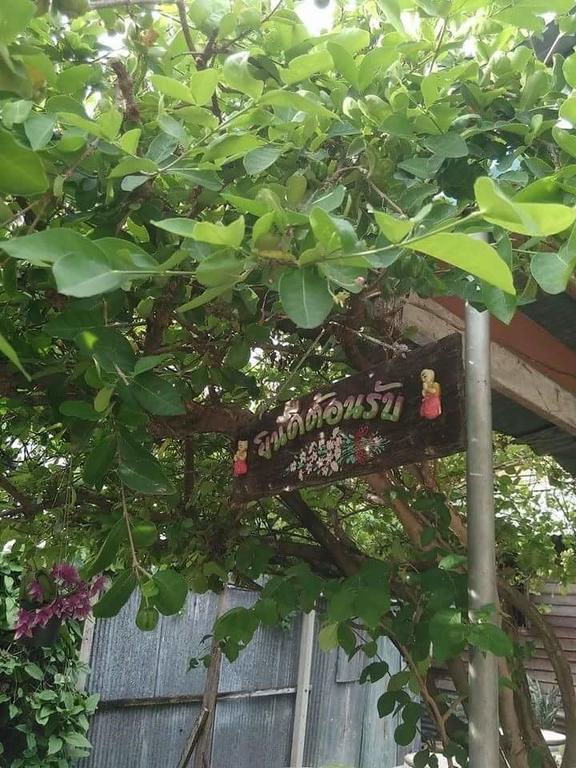 Patchaya Guesthouse أمفاوا المظهر الخارجي الصورة