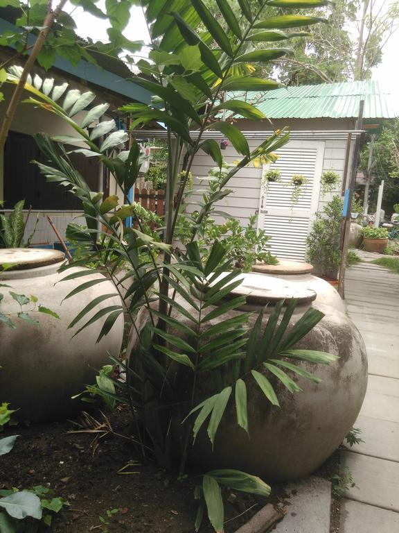 Patchaya Guesthouse أمفاوا المظهر الخارجي الصورة