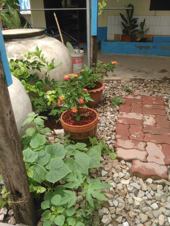 Patchaya Guesthouse أمفاوا المظهر الخارجي الصورة
